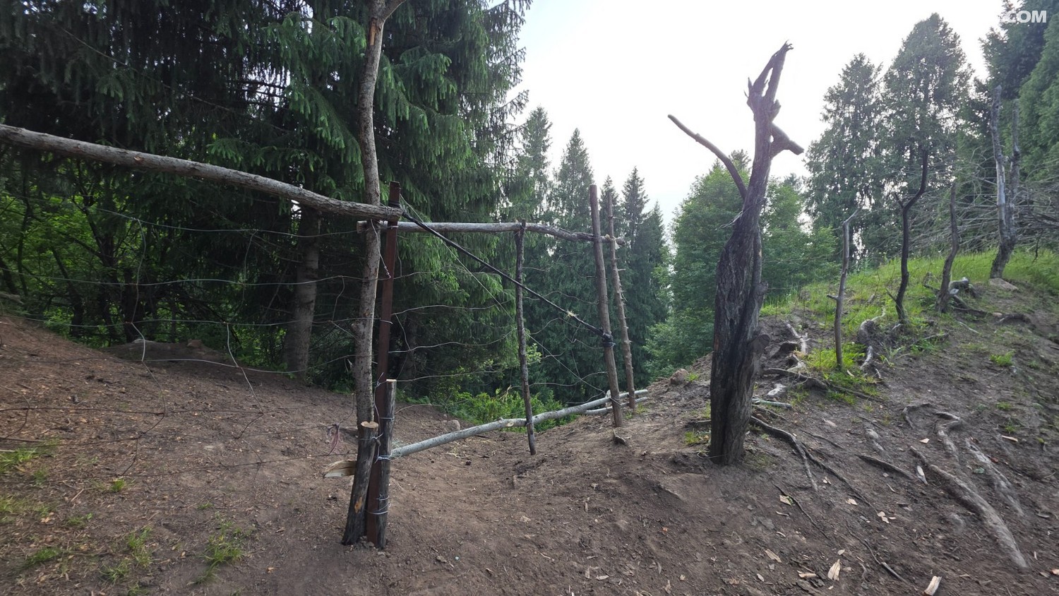20250604_203039.jpg