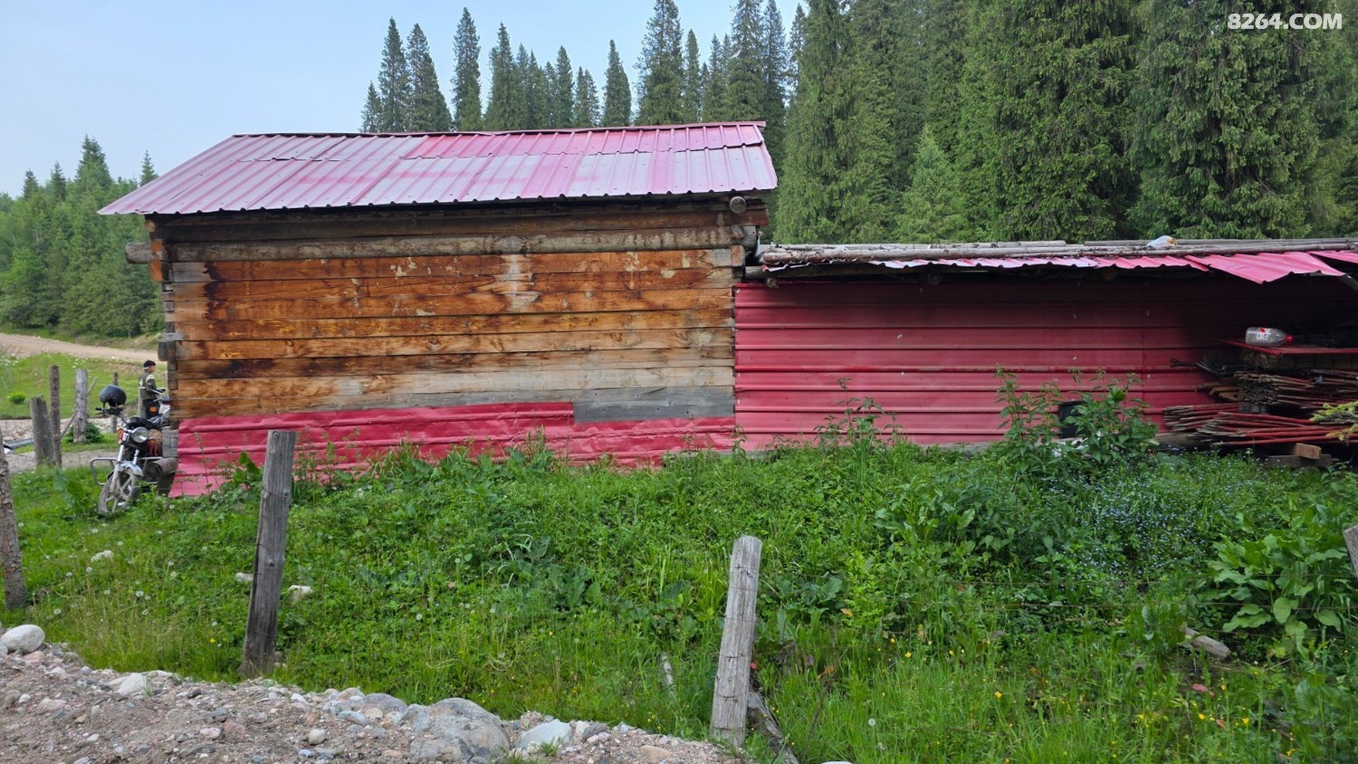 20250604_205457.jpg