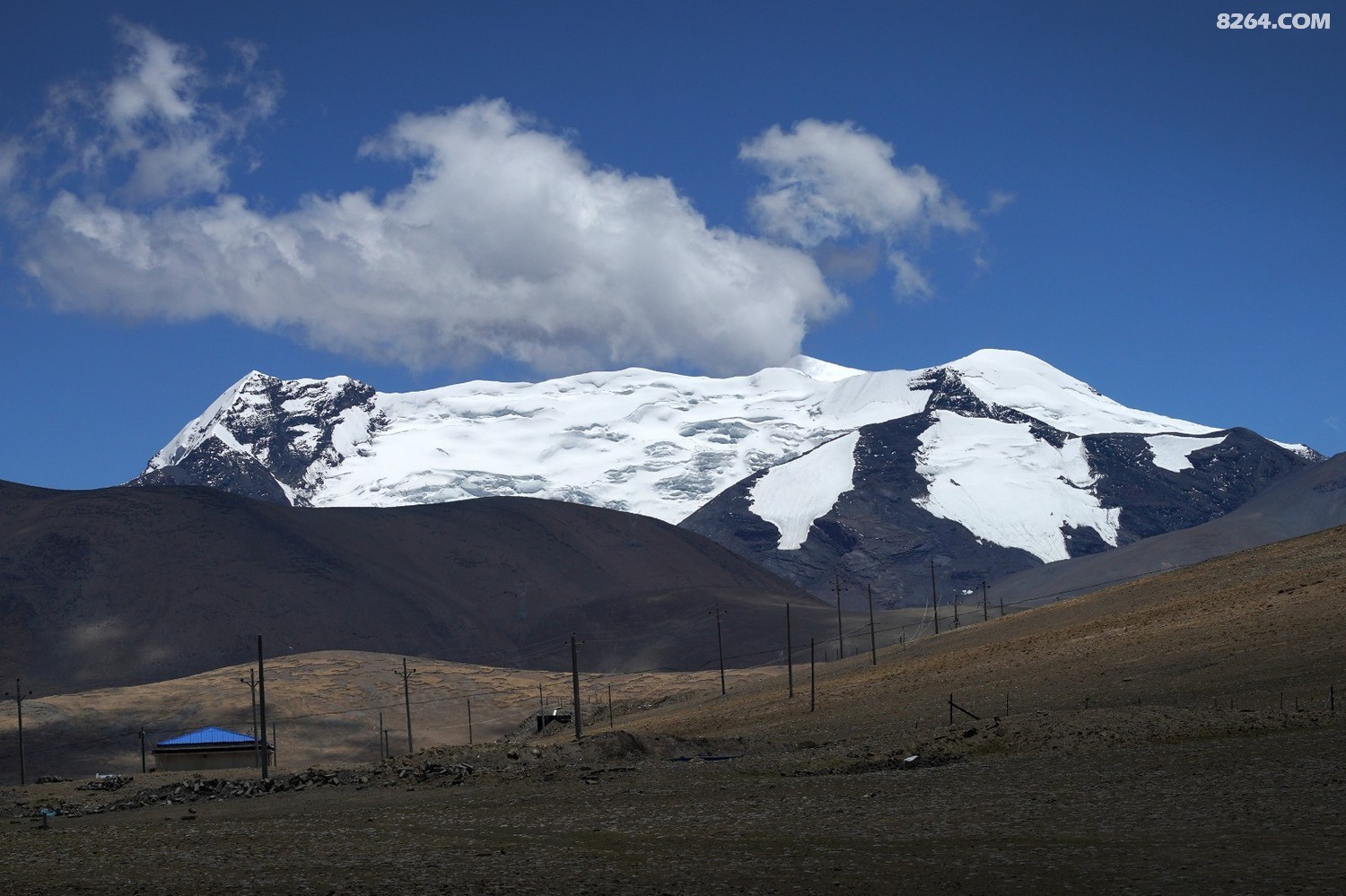 DSC01485.JPG