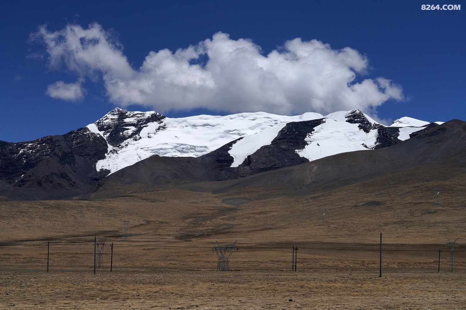 DSC01487.JPG