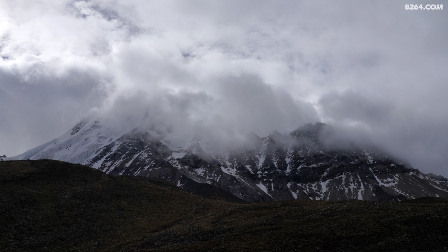 DSC01539˹5924M.JPG