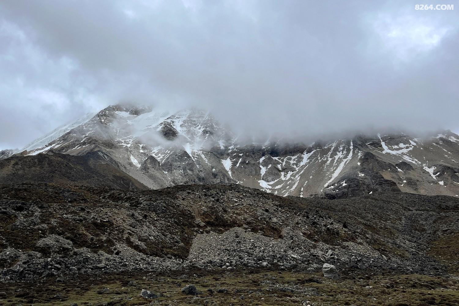 IMG_6875.JPG