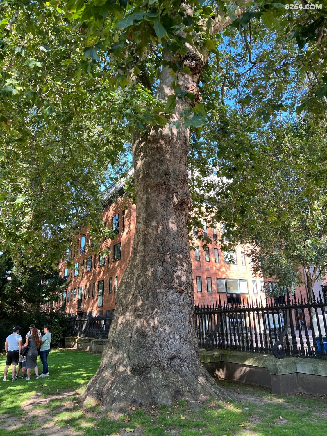 2023-08-10 094526.jpg