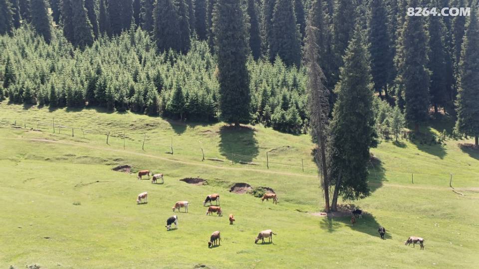 ŽܻϮһվʽλſɿԴͽ,Сͬ/.,,ӷ.,־.ȫŽӪؿʼԤ, ϶ԱԼӪ,DIYտӪĩ626ɽвԭߴԽ+ӰĢͽ880ԪȺԱ70Ԫ628ɽĹȱСϪˮ-ѰӰͽͽ1270ԪȺԱ60Ԫ629ɽԭʼ-Ұ¹һմԽ+вĢӰͽ-1070ԪȺԱ60ԪȪ2025Ӫȱhttps://mp.weixin.qq.com/s/E7ZL2EHUFxlqG_i-SOk4KAͯɳӪŽ.629նͯɳӪCSǹսϷ25˳ͣȪhttps://mp.weixin.qq.com/s/ywITVbkqnQ-n0-xIrajmng75նͯɳӪпѷӹϪ,СϪӴץ򽡢ˮǹսƯϷˮ~~~25˳УȪhttps://mp.weixin.qq.com/s/jfzJ-wrsB8QCK5_-OrDC_wӪضԿսӪػŽҪ̤軧ԿսͯɳӪ198Ź178 ///30˳https://mp.weixin.qq.com/s/64pazI-0Fy3Rg4j5caLlfAԼݳ̤ɽǹս78Ԫ.https://mp.weixin.qq.com/s/n9fitEHHagFqiezyo-28uw½һվʽ,³,.ɽ,ɽϿ,彭Ȫ, ɿк,,,˹ľ,ʲ,һΣ999https://mp.weixin.qq.com/s/pcPhceeBsHDUDy06c0QoYwػƱ:·msӰǡؼƱ25,޳,ʱ,ѡλ,ɿǧ򡷡Ұά˹ء彭Ȫ˿·Ϸhttps://mp.weixin.qq.com/s/_megiRmXudM_GuGwlH55LAСŻ:/Ե/һ/ˮ///̹://˲΢/18016857837/15299492681ƺǵַմA΢źѱͲԼӪDIYhttps://mp.weixin.qq.com/s/iQ3_aFwpiMfKbwdBzkmNjw۸ҵŽƻǵŵ:Ž߻,֯,ִ+ḻĻ,עذȫʵ.ȱ:,ϸ,,PPT,ӭ