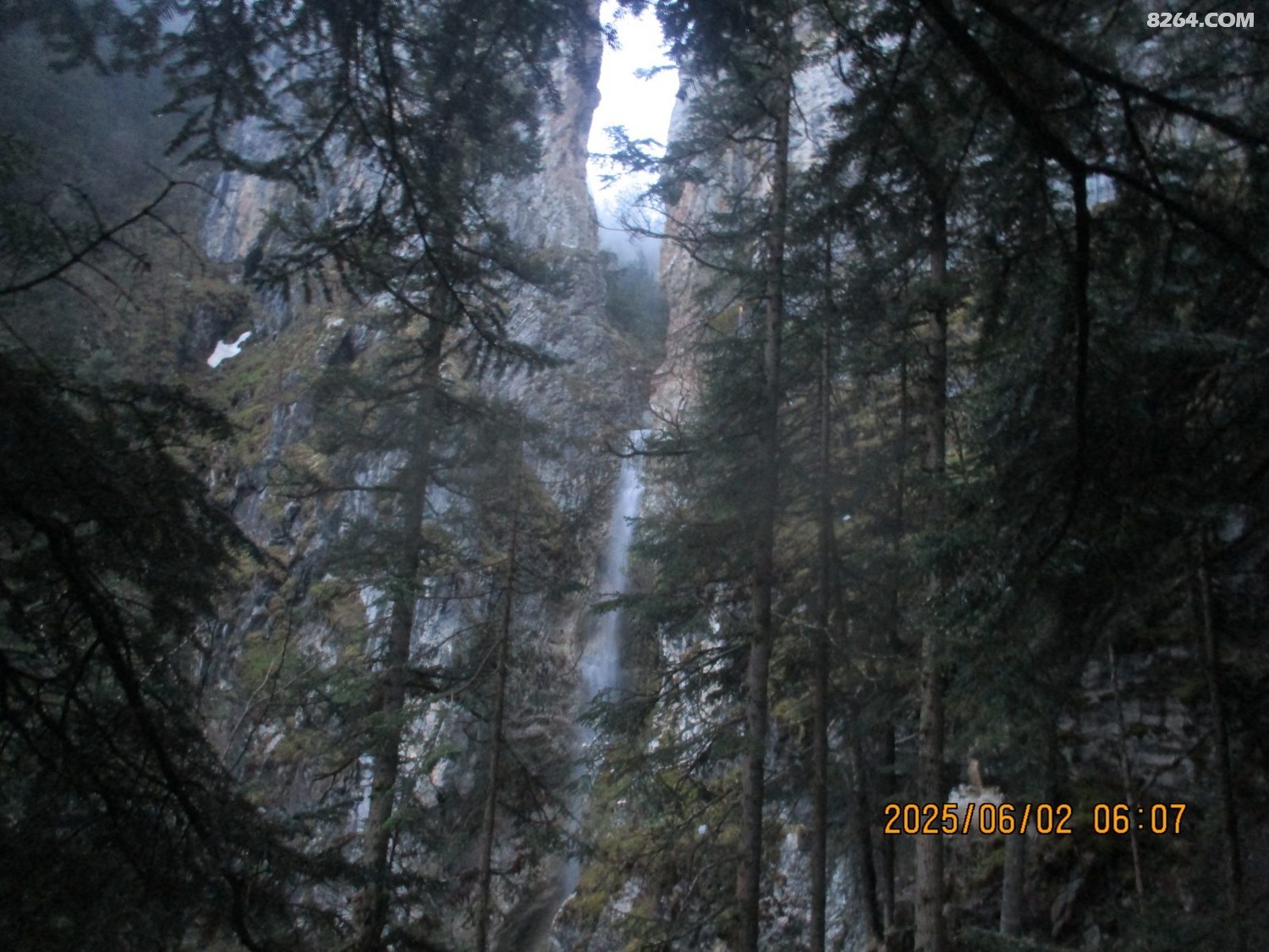 IMG_1172.JPG
