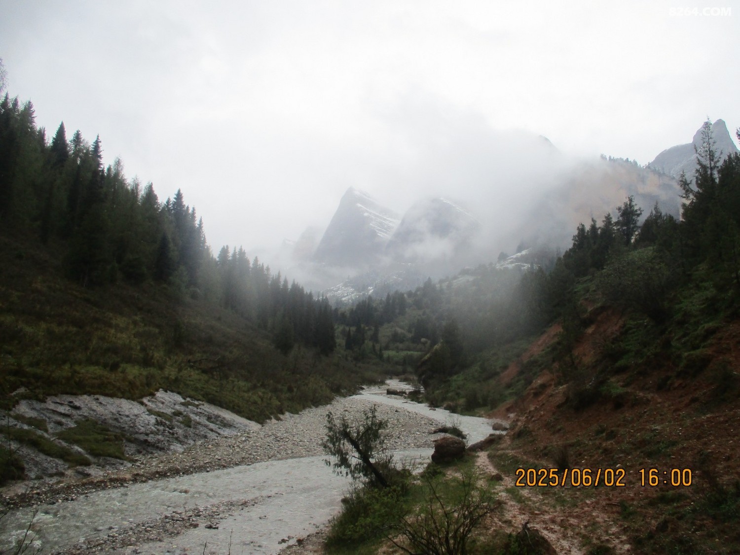 IMG_1216.JPG