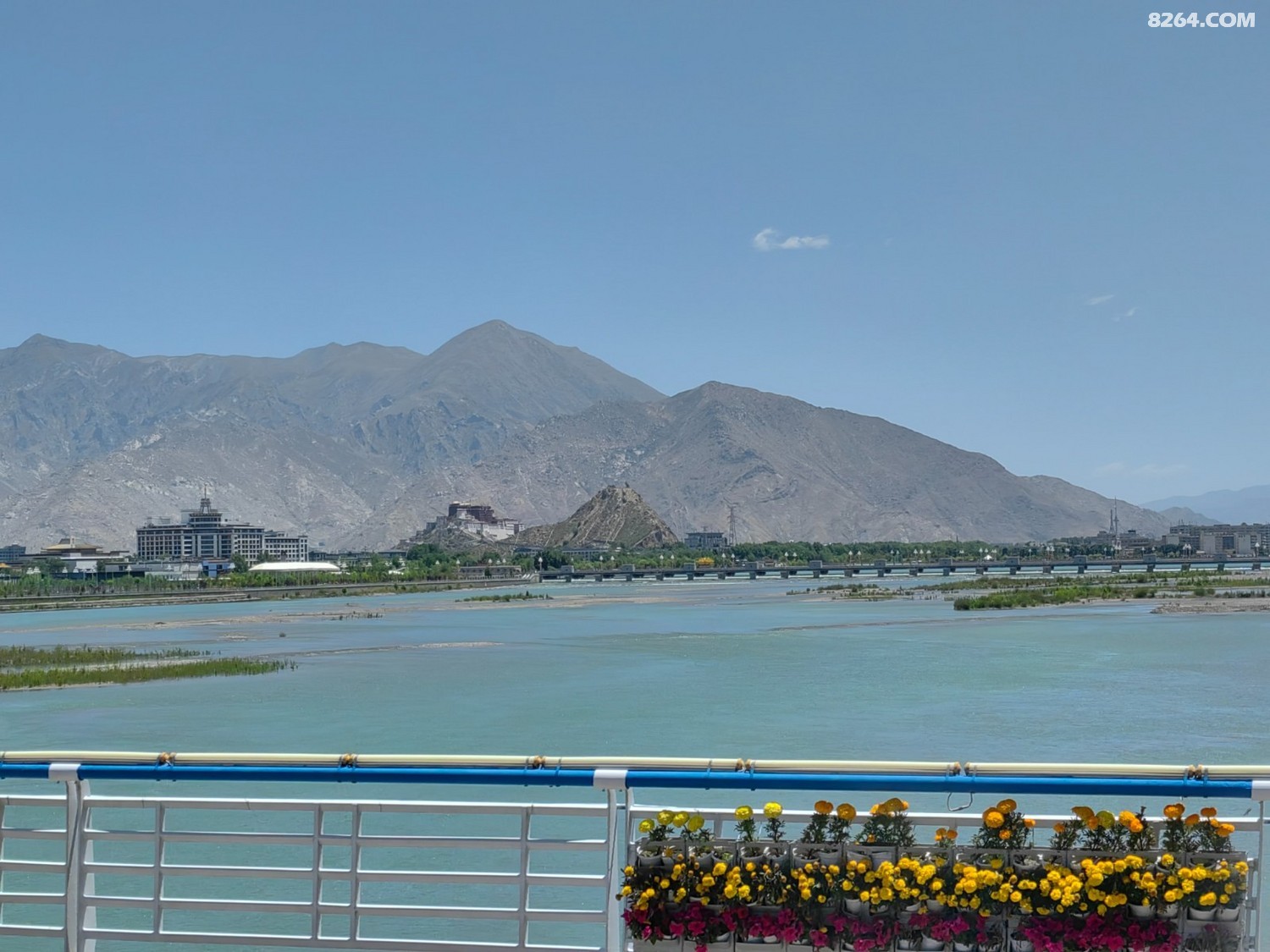IMG_20250609_130329.jpg