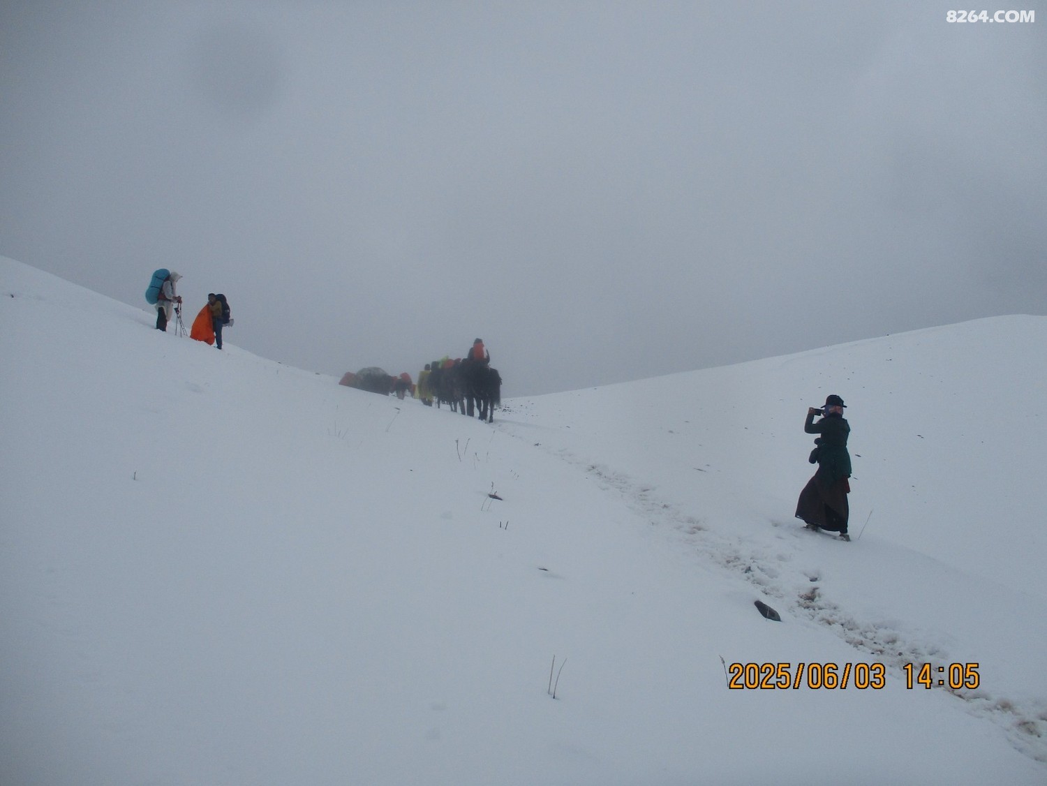 IMG_1242.JPG