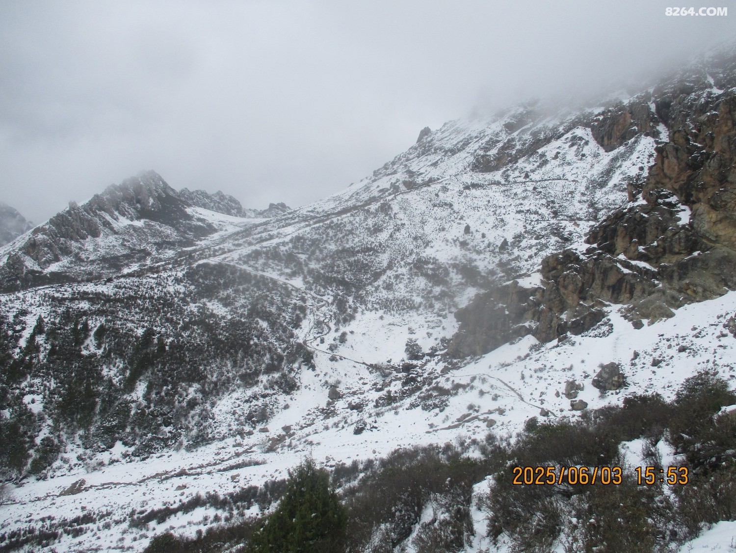 IMG_1246.JPG