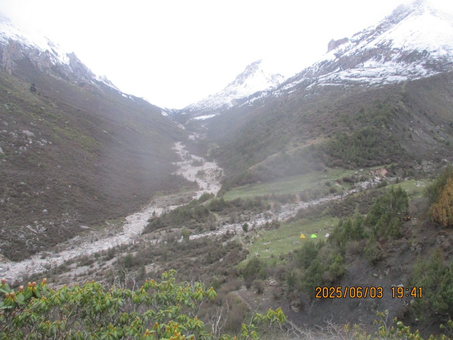 IMG_1250.JPG