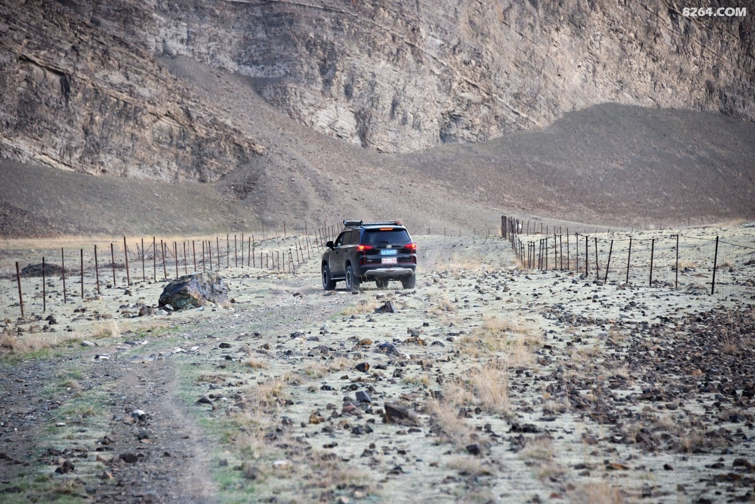 DSC_1674__.jpg
