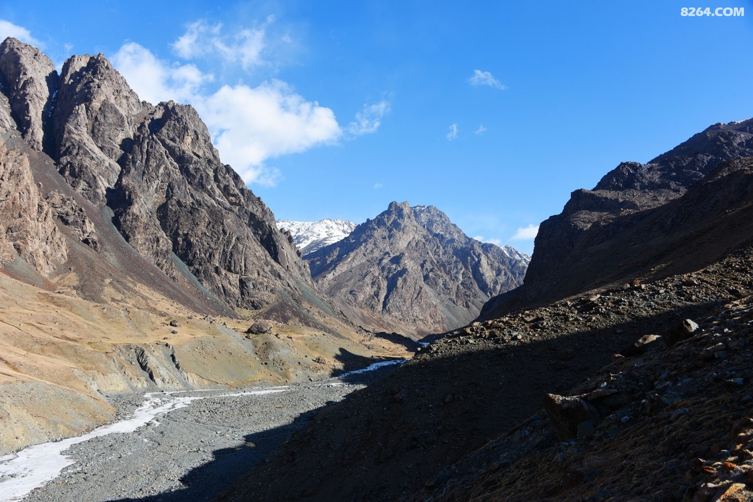 DSC_1700_.jpg