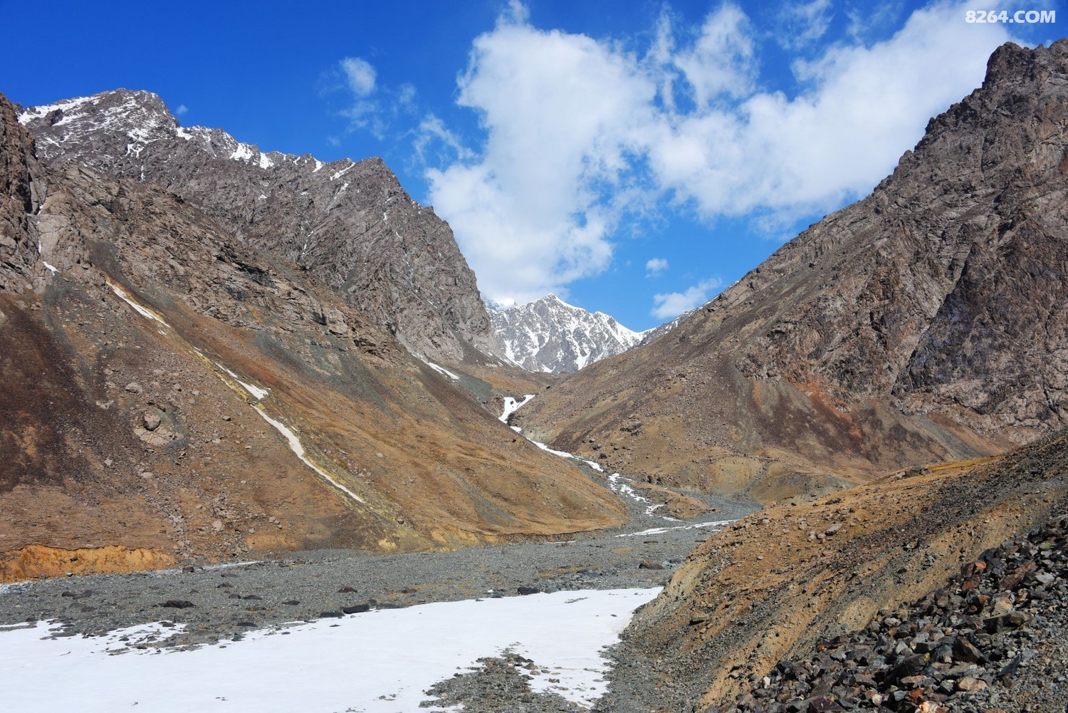 DSC_1703_.jpg