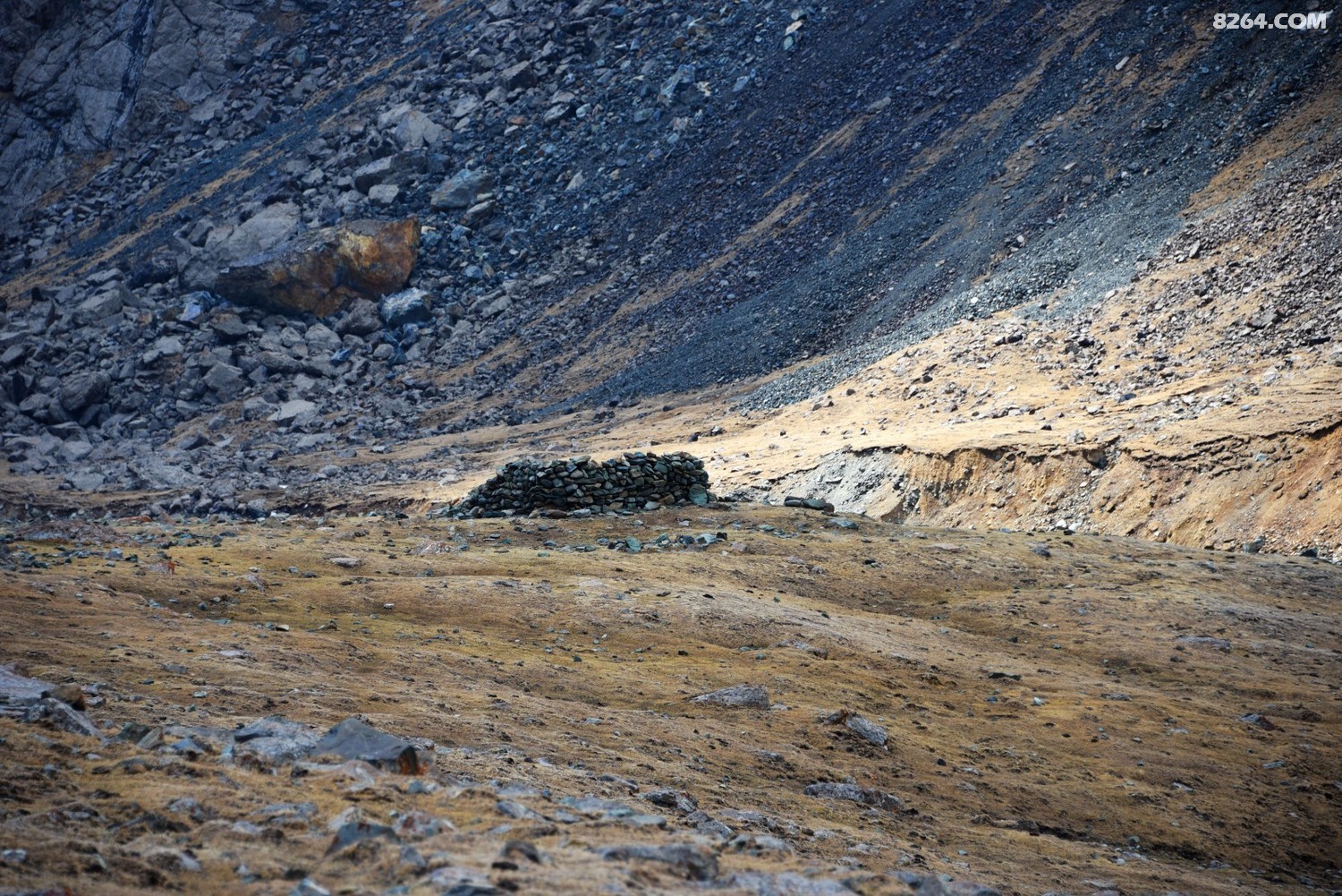 DSC_1704_.jpg