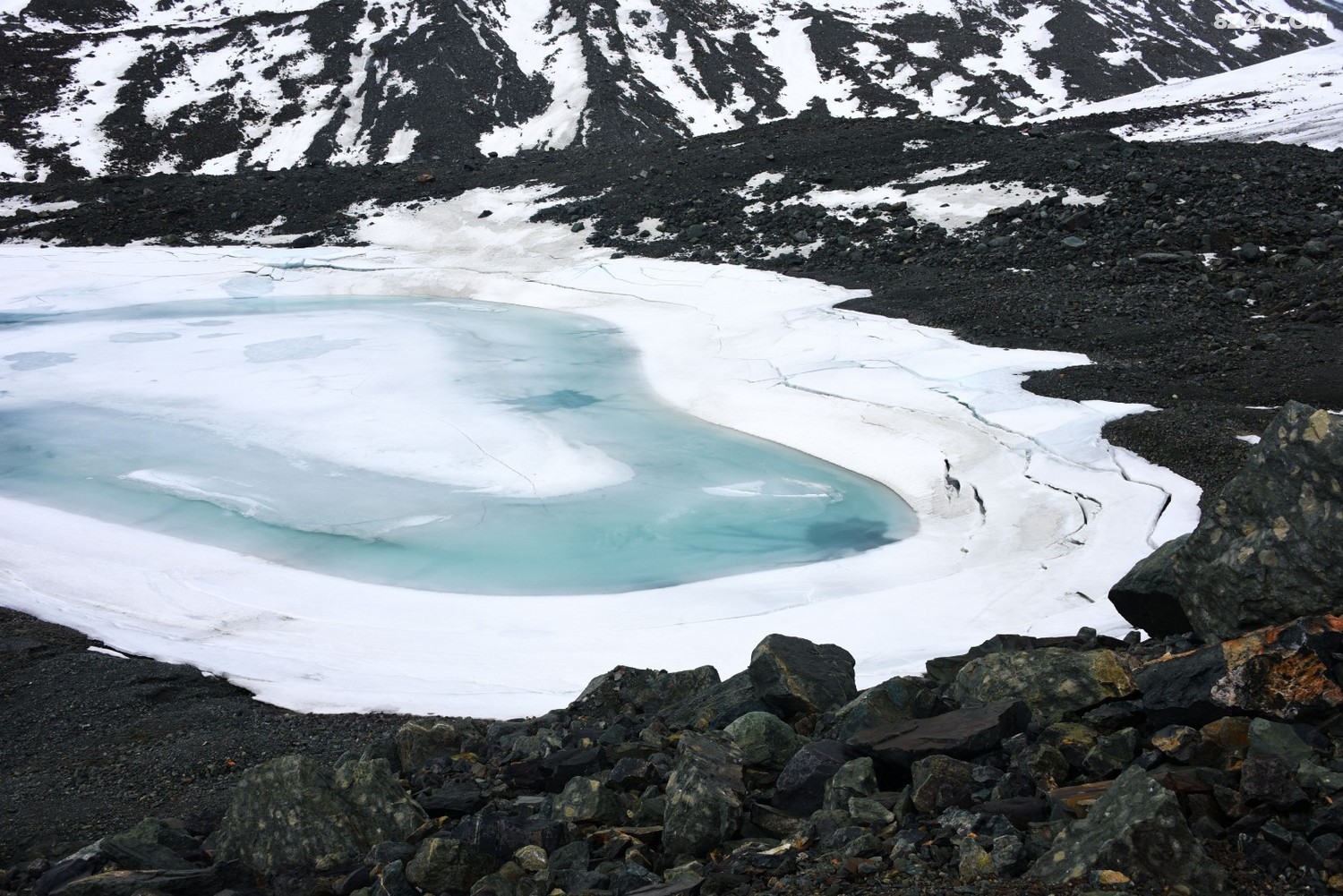 DSC_1729_.jpg