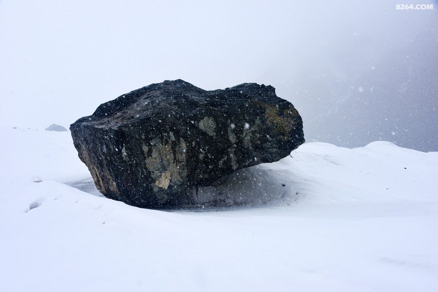 DSC_1734_.jpg