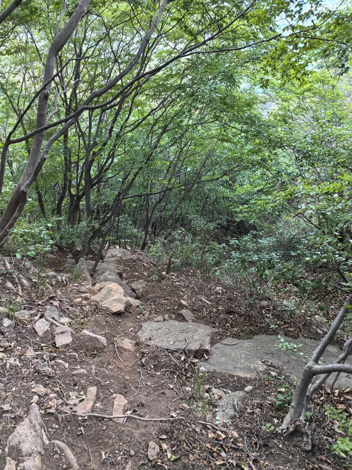 IMG_20250614_080309.jpg