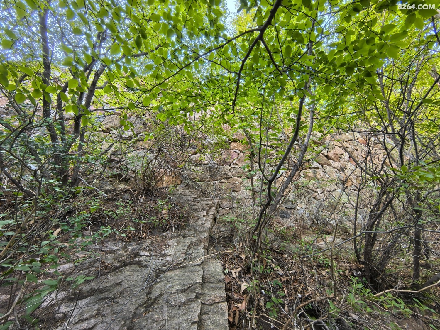 IMG_20250614_080459.jpg