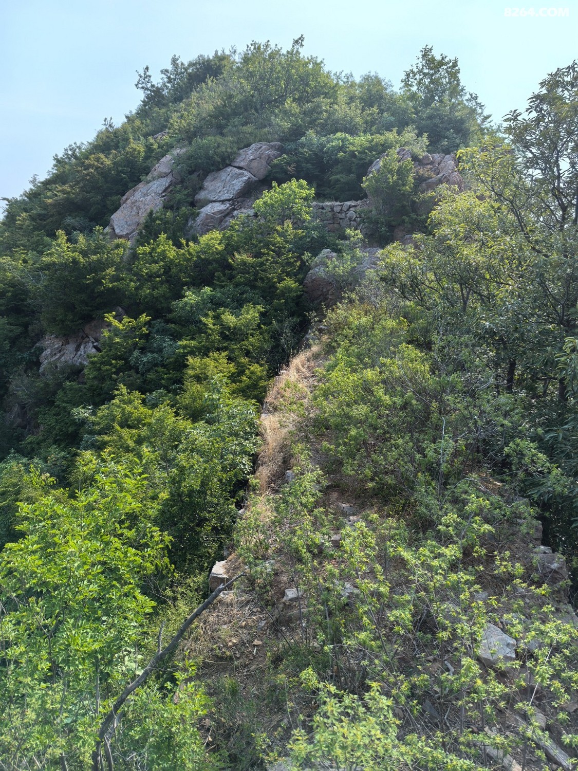 IMG_20250614_080730.jpg
