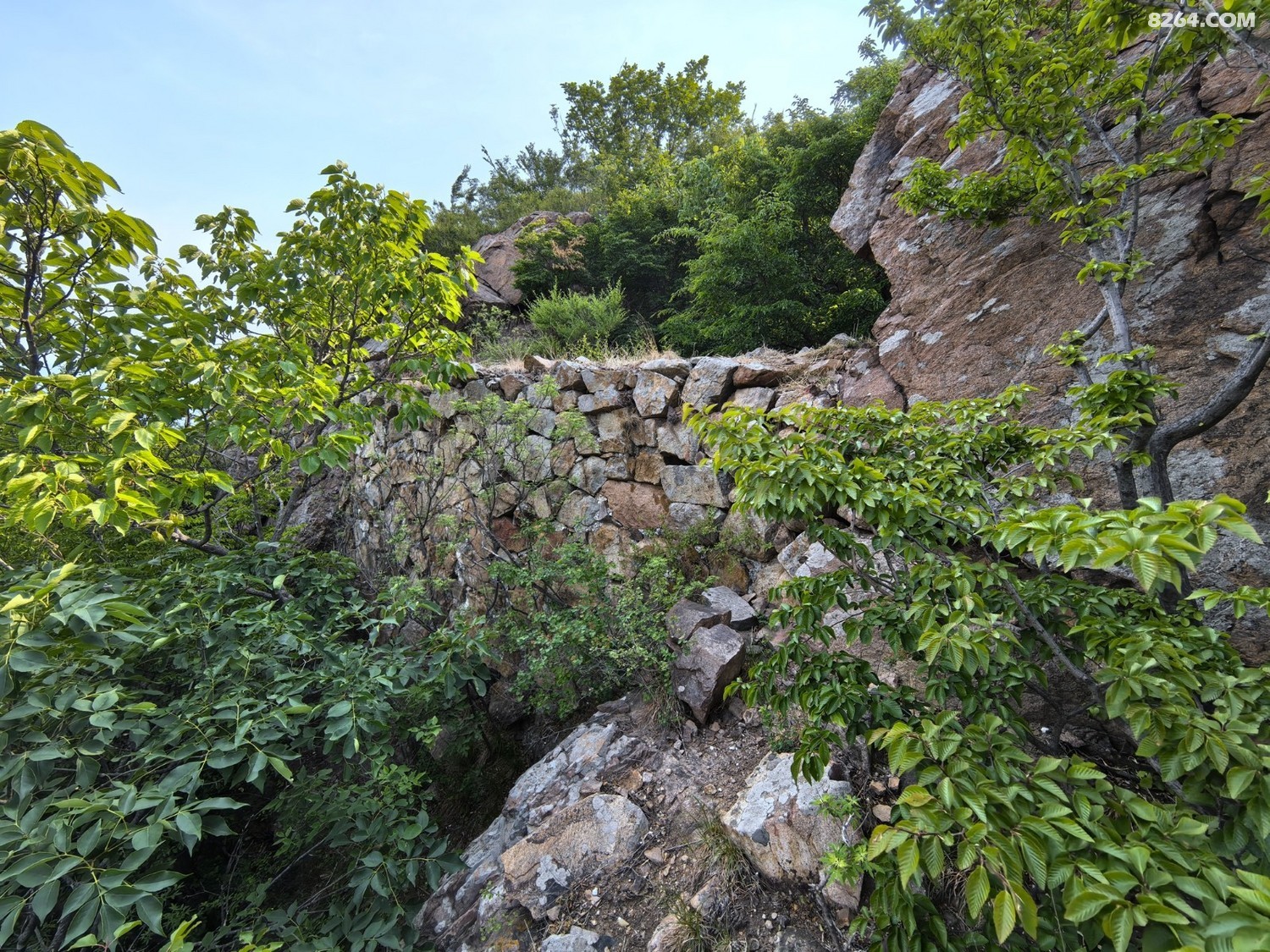 IMG_20250614_080825.jpg