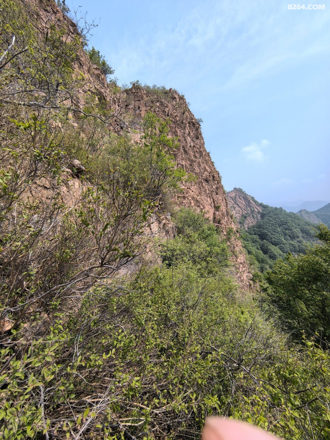 IMG_20250614_095739.jpg