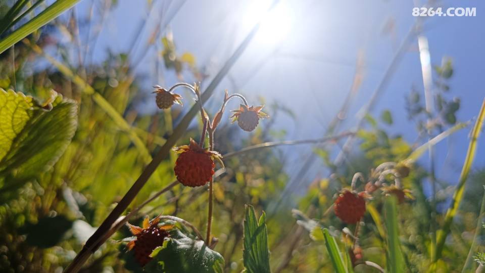 ŽܻϮһվʽλſɿԴͽ,Сͬ/.,,ӷ.,־.ȫ.18016857837ŽӪؿʼԤ, ϶Ա,ԼӪ,DIY-տ-ӪѹCSˮԿ.Ž߿ŷĩ710ķĩ70Ԫ12ɽС˽ﻨȵѩӥȴԽҰʢĢͽ15+λͽ2-1570ԪȺԱ60Ԫ713նɽؾߺӵֹСϪ콷ӰΣͽ2-1070ԪȺԱ602025Ӫȱhttps://mp.weixin.qq.com/s/E7ZL2EHUFxlqG_i-SOk4KA½һվʽ,³,.ɽ,ɽϿ,彭Ȫ, ɿк,,,˹ľ,ʲ,һΣ999շƱhttps://mp.weixin.qq.com/s/pcPhceeBsHDUDy06c0QػƱ:·msӰǡؼƱ25,޳,ʱ,ѡλ,ɿǧ򡷡Ұά˹ء彭Ȫ˿·Ϸhttps://mp.weixin.qq.com/s/_megiRmXudM_GuGwlH55LAСŻ:/Ե/һ/ˮ//̹://˲΢/18016857837/15299492681ƺӪؽմáŻ-Ӱ-Ģ500/졿ƸҵŽƻǵŵ:Ž,߻,֯,ִ+ḻĻ,עذȫʵ.:,ϸ..PPT.,ӭ