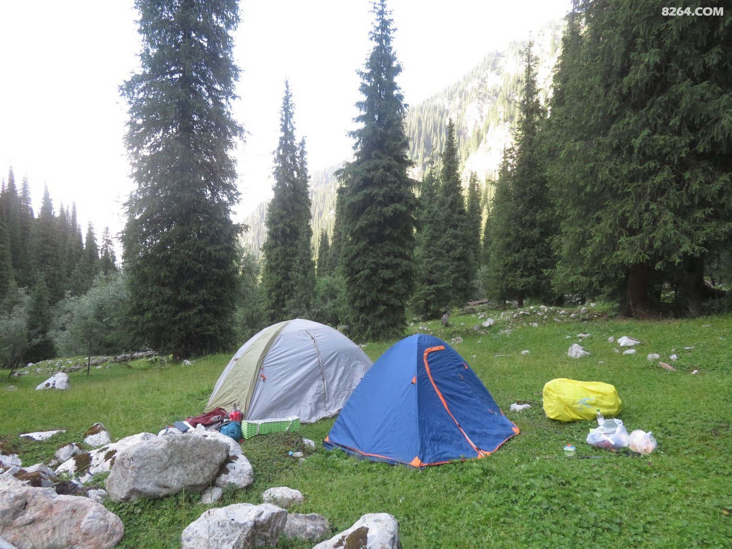 IMG_4219.JPG