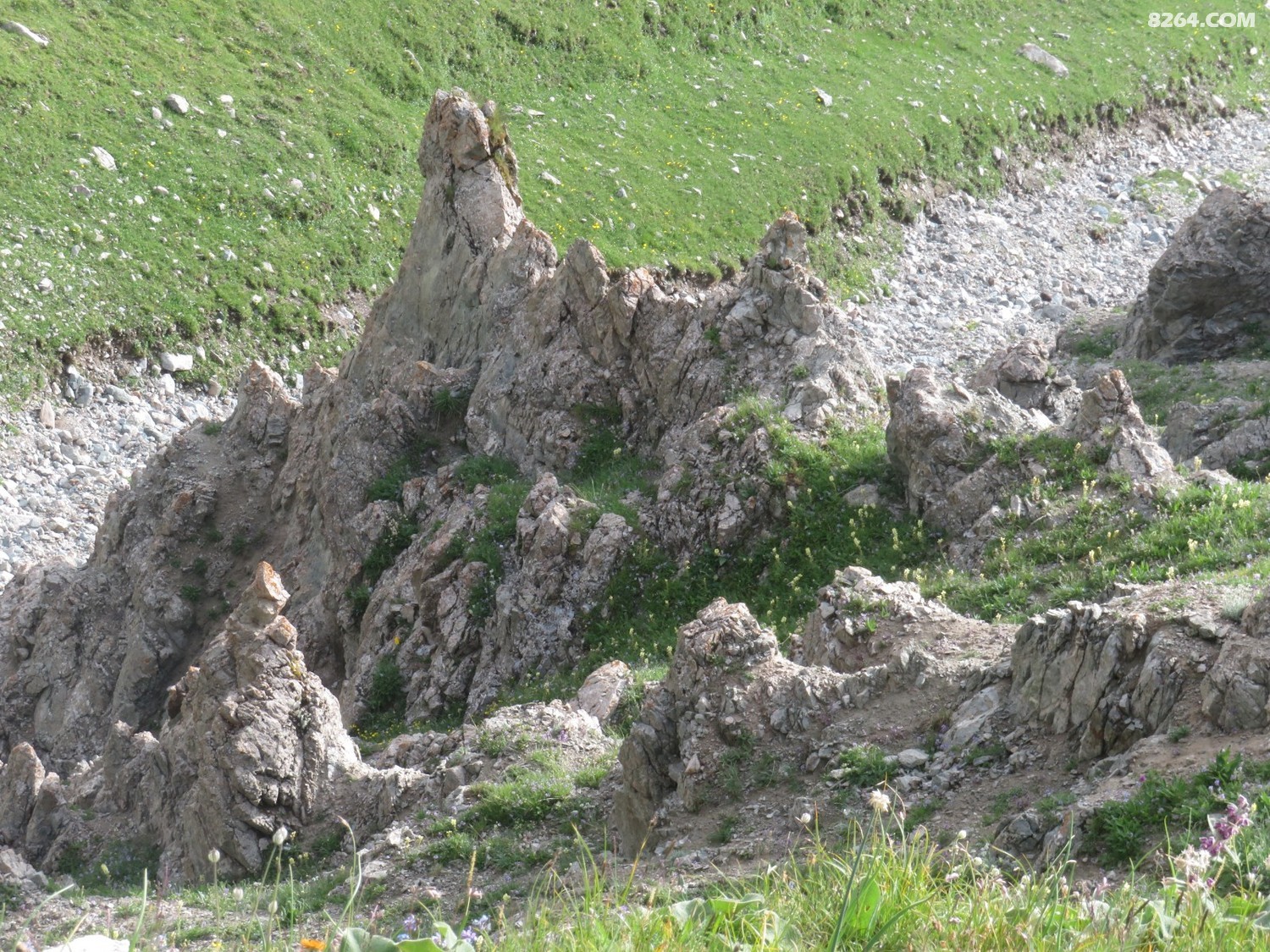 IMG_4332.JPG
