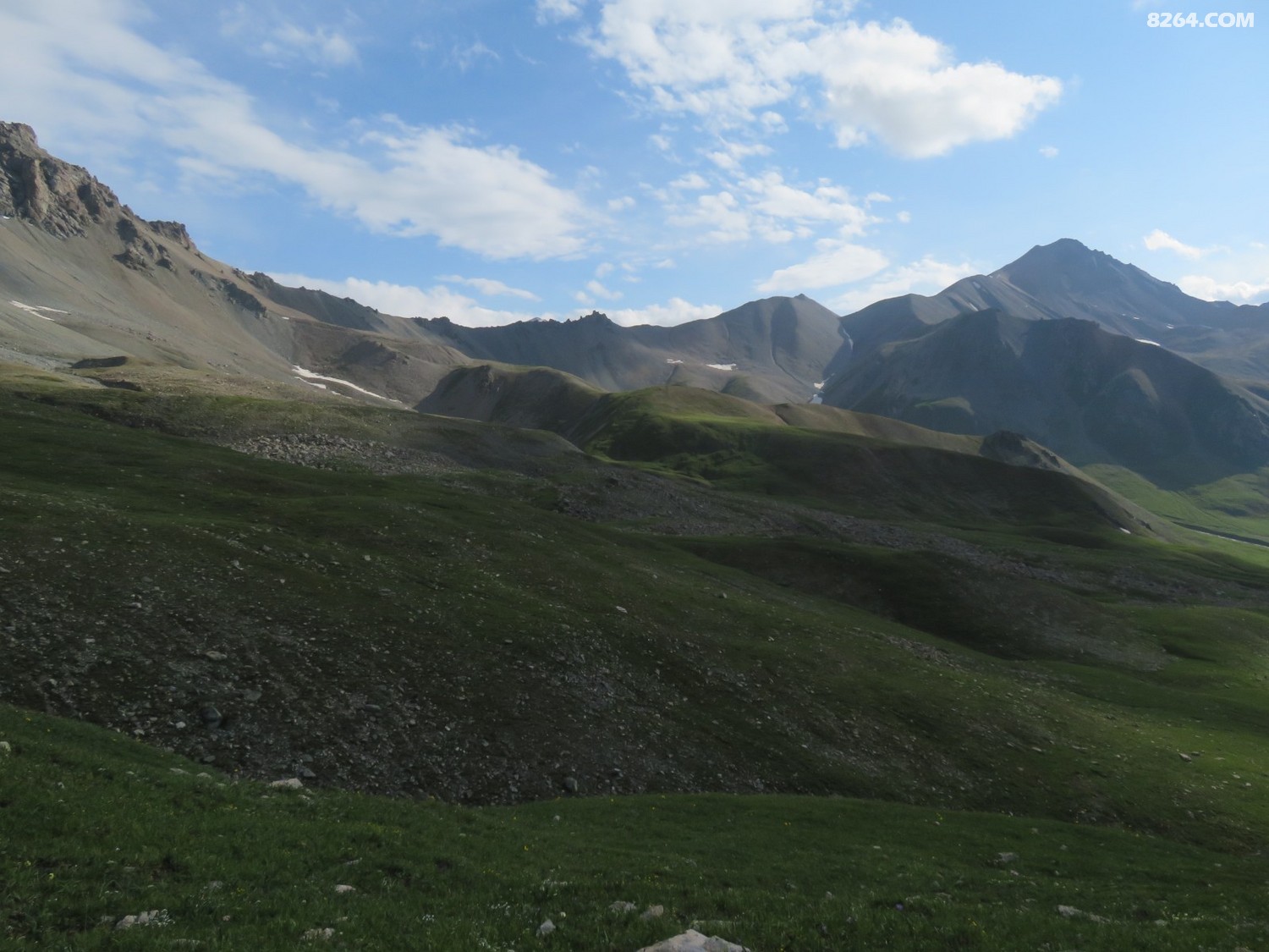 IMG_4350.JPG