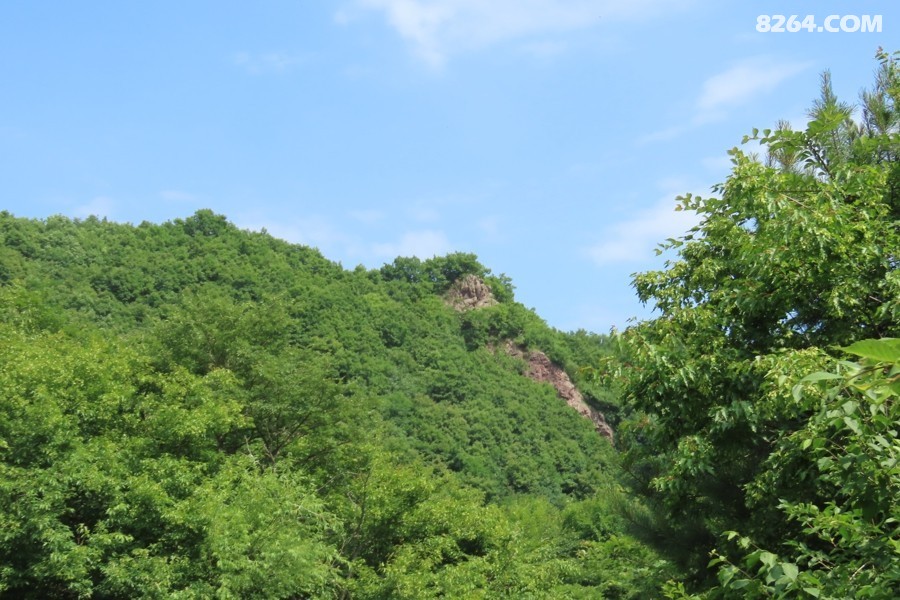 IMG_2615.jpg