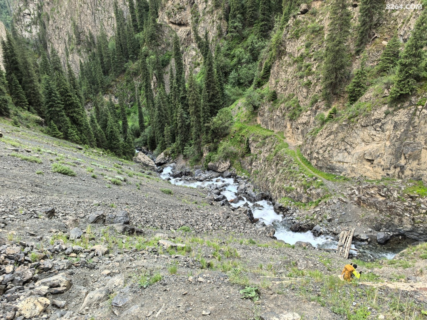 IMG_20250620_184526.jpg