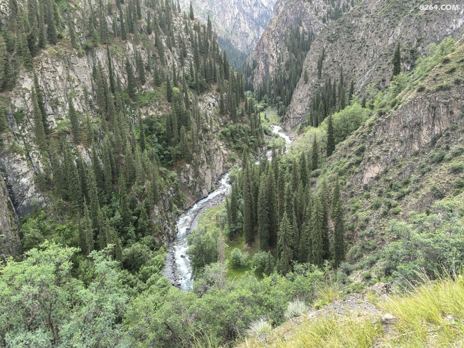 IMG_20250620_192322.jpg