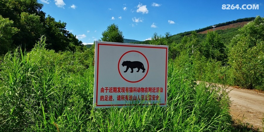 IMG_20250706_140620.jpg