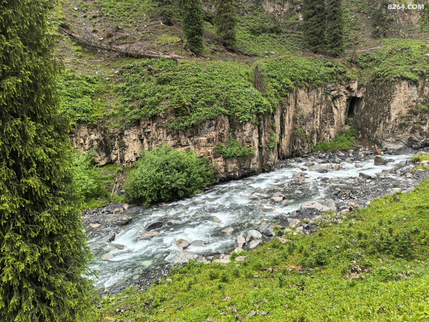 IMG_20250627_165645.jpg