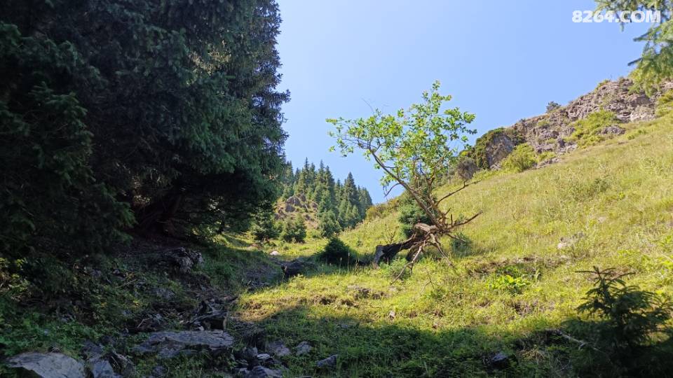 ŽܻϮһվʽλſɿԴͽ,Сͬ/.,,ӷ.,־.Ʊȫ.18016857837ŽӪؿʼԤ, ϶Ա,ԼӪ,DIY-տ-ӪѹCSˮԿ.Žŷĩ717ɽԭʼһմԽ+вĢӰΣ707.19ɽԭʼһմԽ+вĢӰͽ2-1270ԪȺԱ60Ԫ720ԼĹСϪˮһĢӰͽͽ2-1270ԪȺԱ60Ԫ725өԼ¶Ӫ϶Ա78Ԫ98ԪСͬۡөhttps://mp.weixin.qq.com/s/OLOqzi_1ceb9joA9efon_Qֹ7.202025Ӫȱhttps://mp.weixin.qq.com/s/E7ZL2EHUFxlqG_i-SOk4KA½һվʽ,³,.ɽ,ɽϿ,彭Ȫ, ɿк,,,˹ľ,ʲ,һΣ999շƱhttps://mp.weixin.qq.com/s/pcPhceeBsHDUDy06c0QػƱ:·msӰǡؼƱ25,޳,ʱ,ѡλ,ɿǧ򡷡Ұά˹ء彭Ȫ˿·Ϸhttps://mp.weixin.qq.com/s/_megiRmXudM_GuGwlH55LAСŻ:/Ե/һ/ˮ//̹://˲΢/18016857837/15299492681ƺӪؽմáŻ-Ӱ-Ģ500/졿ǵŵ:Ž,߻,֯,ִ+ḻĻ,עذȫʵ.:,ϸ..PPT.,ӭ