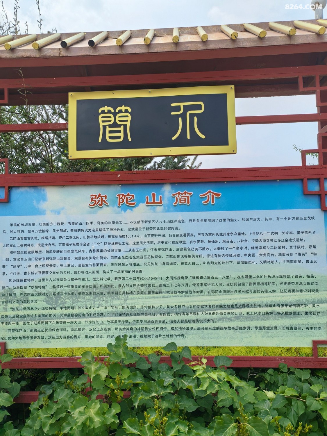 IMG_20250712_125346.jpg