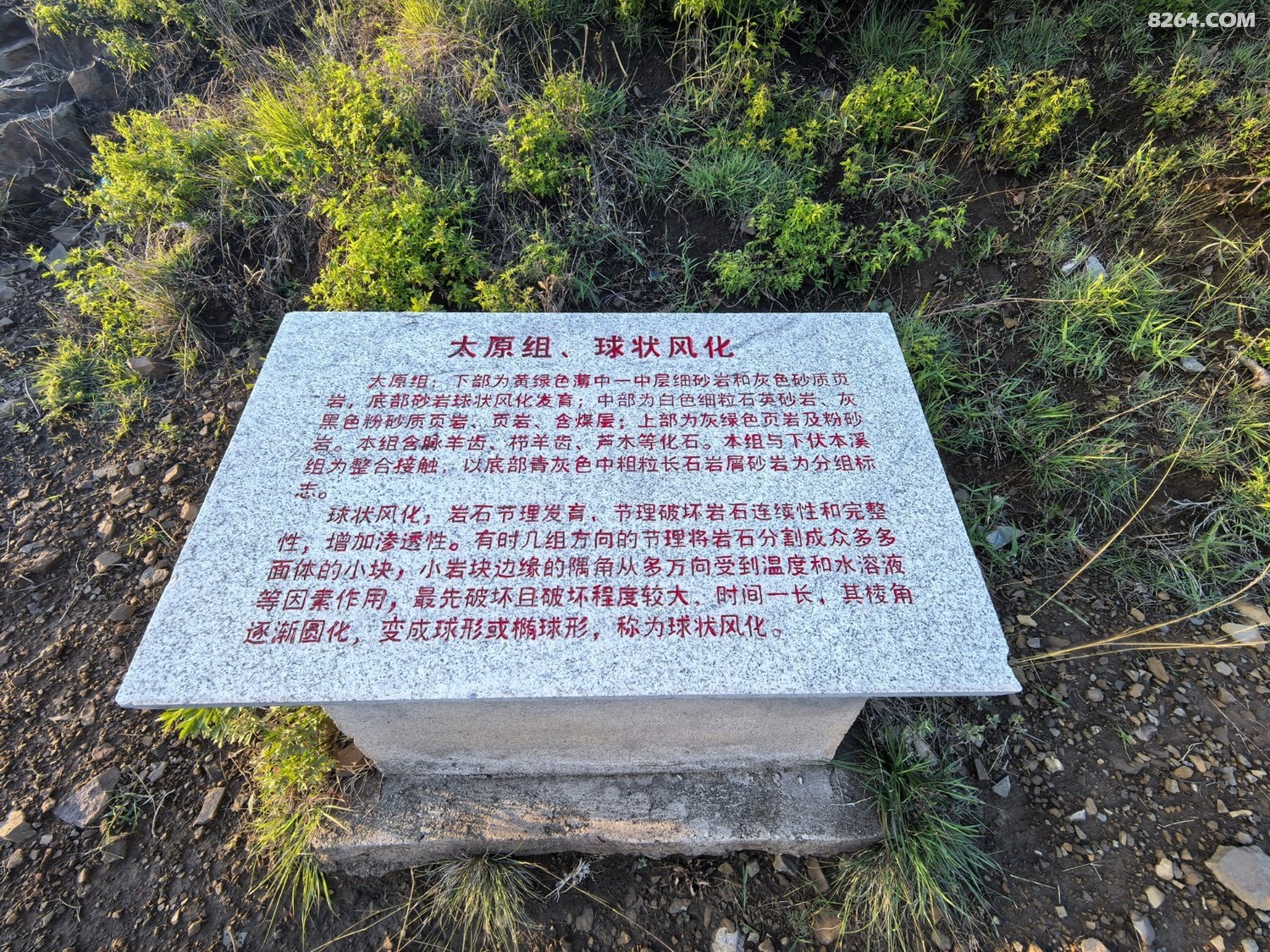 IMG_20250615_183705.jpg