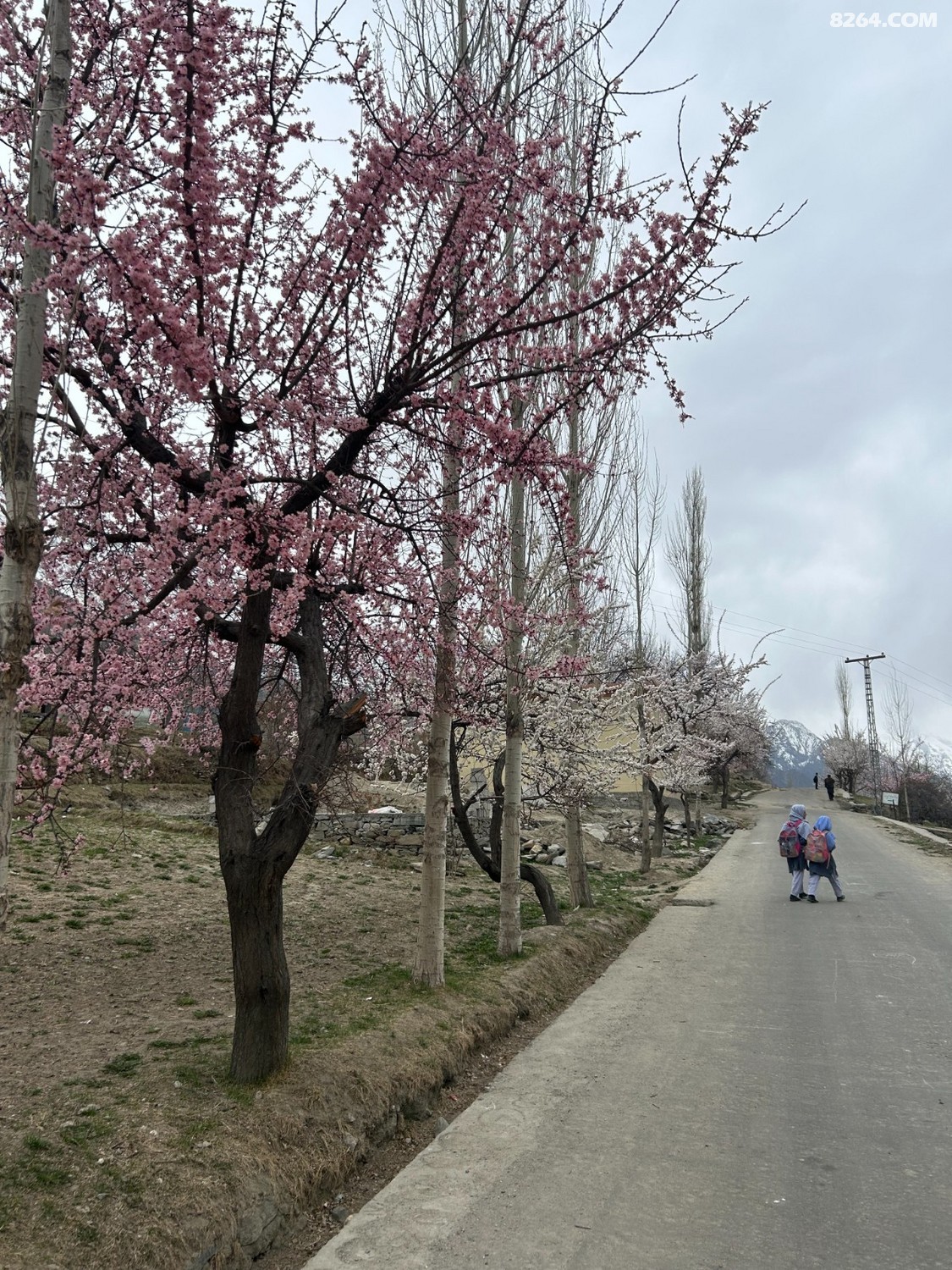 95.jpg