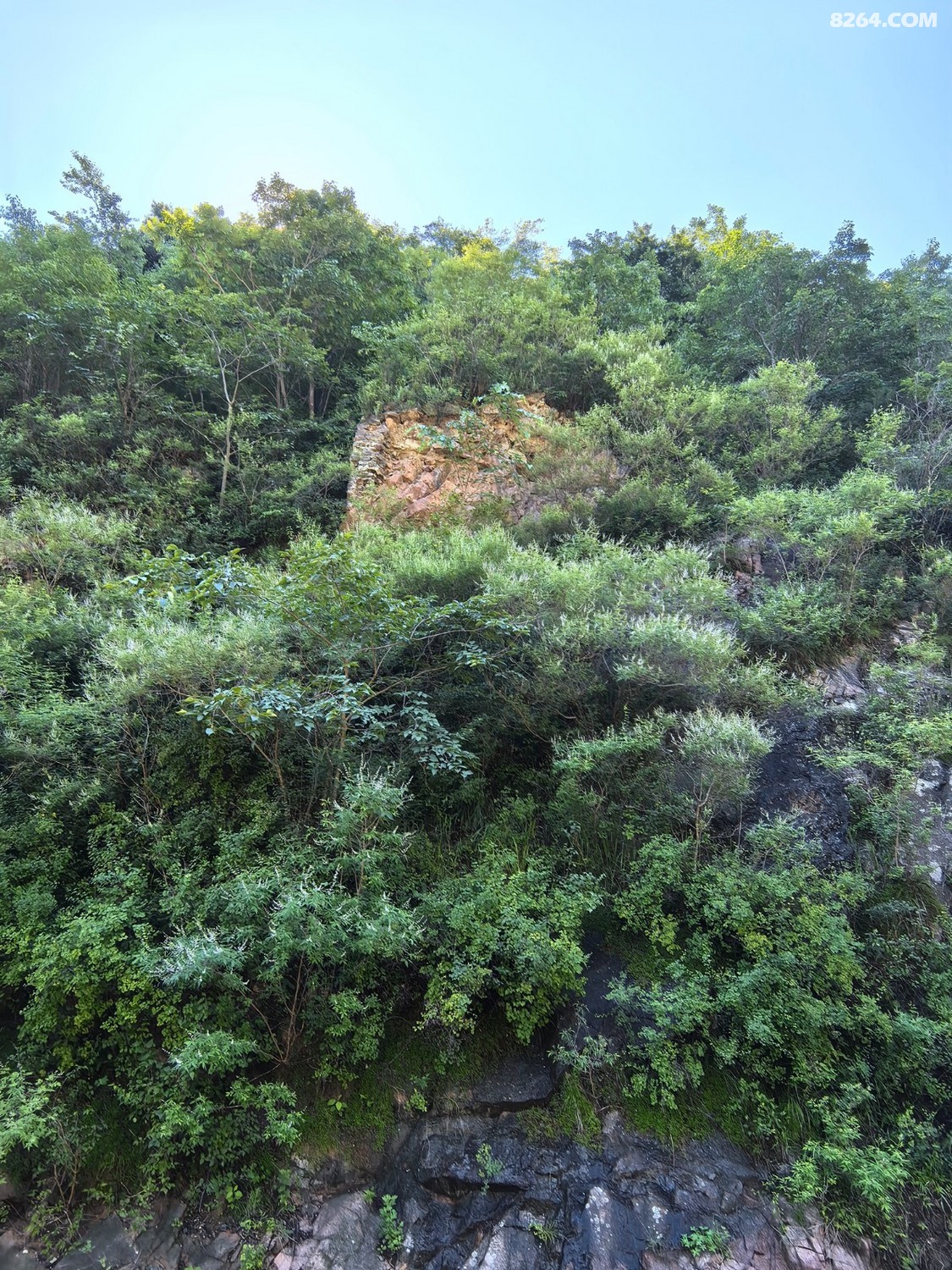 IMG_20250706_090245.jpg