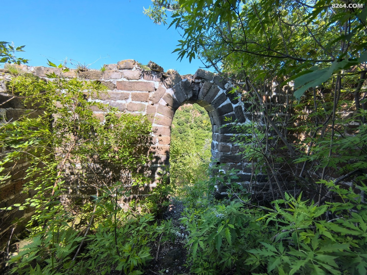 IMG_20250706_092725.jpg