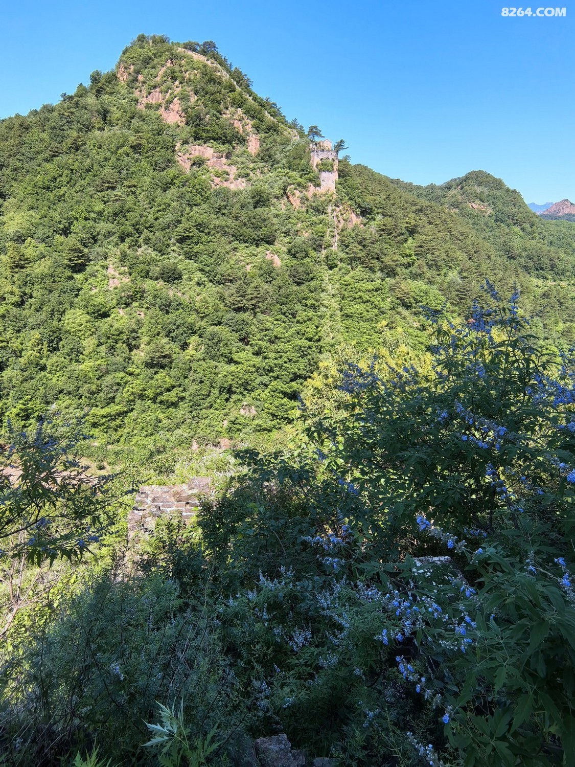 IMG_20250706_093316.jpg
