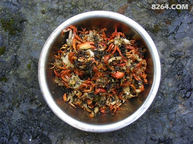 8TPXRGCADXCDG6CAY5LE3JCAYSNEJGCAY1PBCPCA3IZUBDCAHGVL67CAB3DN9JCALXMHG8CAKPRM9ICAGM7IJ3CABG2P46CAR2TI