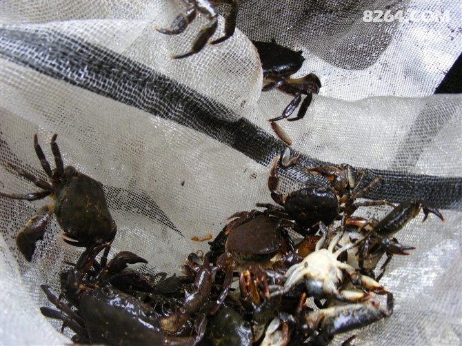 T0CWDBCA9JWKHVCAX5N86HCAPT1PJECADJRUQCCAIZXKPPCAJ3XB83CAO6P2AJCAEVVRACCAPHH8GRCA2Q5VV5CAJ15WJRCAXRFM