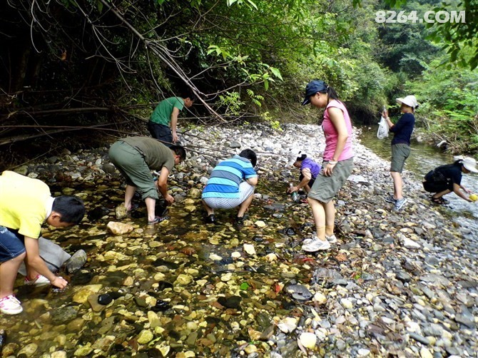 U8WMEHCACP9WEFCAG9W44HCA99OBIZCAR6LVN8CAGUYMOXCAIB3XWDCALX774YCABU6POUCAEG0VKWCA9VM9PHCAUFPZEICAXCKL