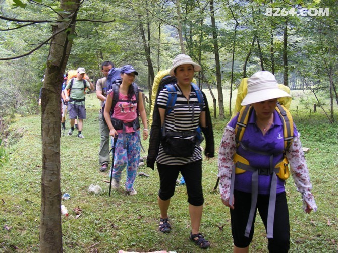 706H3TCAUGTICYCAXQ32A3CANT7XMACA2OHDGZCA3P1SLXCA9549FVCAHF3ZD2CAP60164CABOWP27CALN14A2CA033LXRCAF1W7