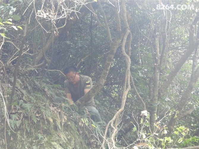 SF56E7CA9E4Z16CATYF6F0CA050K1UCA0HM5Q2CAYMXDV8CAMIR6RLCA3W3TM9CAY4O843CAKBA3HFCANXZBMGCA1S64N4CA4GUH