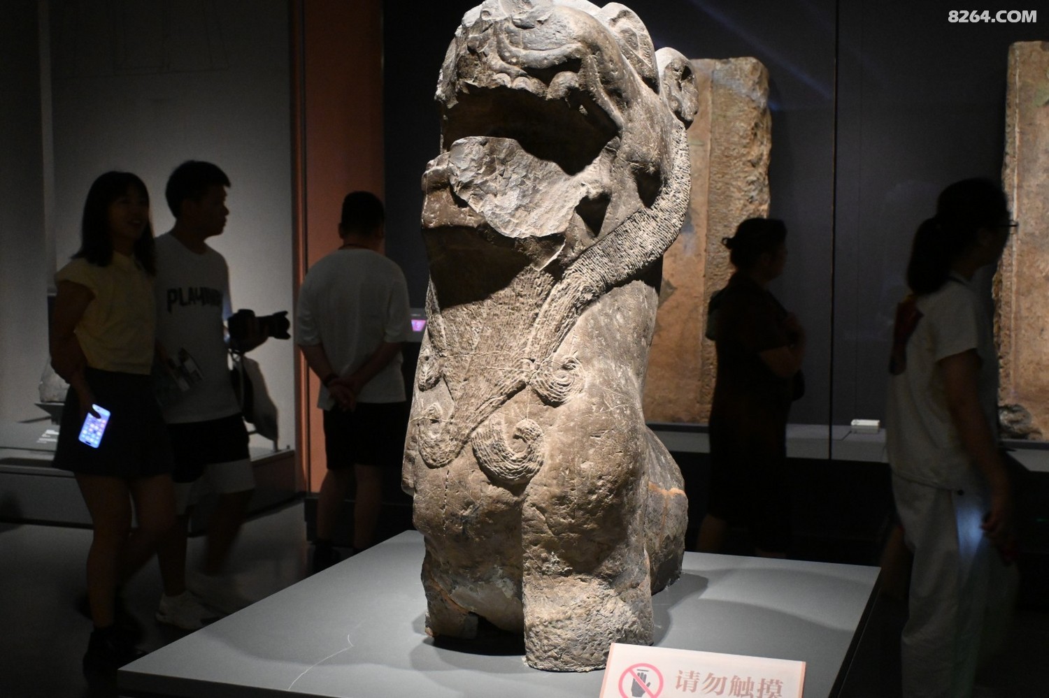 DSC_0090.JPG