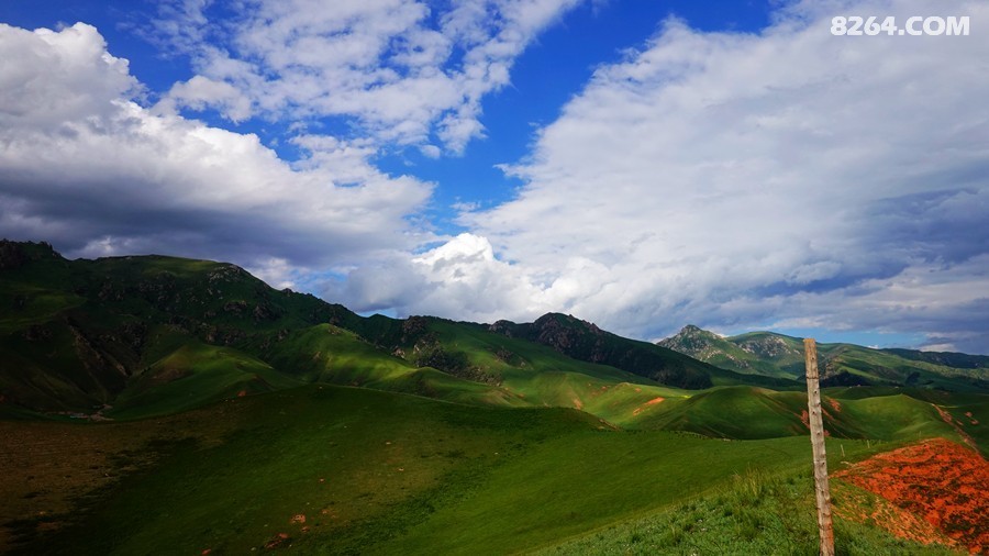 1004.jpg