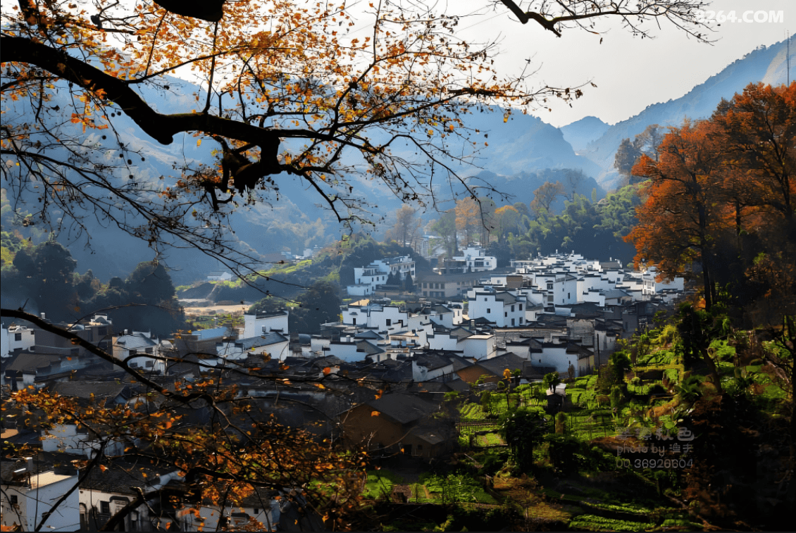 b75684068d1715a8e8b135b30eccd04.png