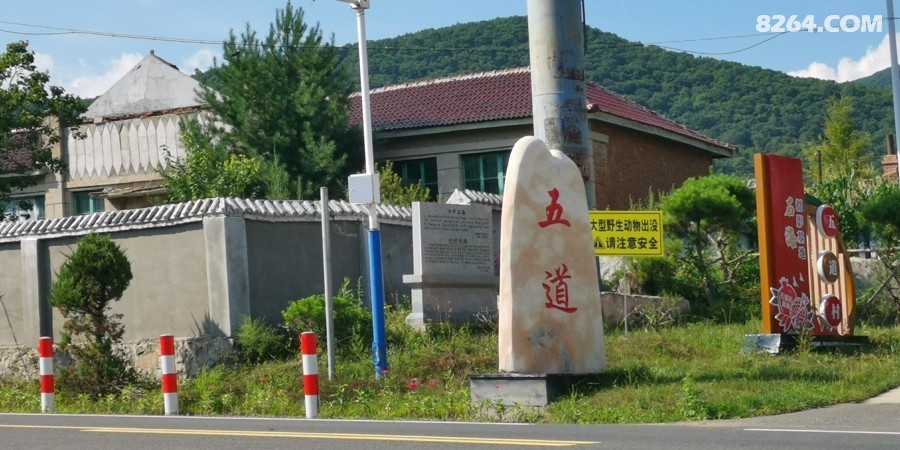 IMG_20250802_145325.jpg